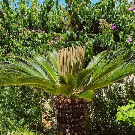Blamax Apartment Mali Losinj